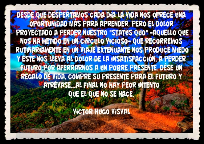 VICTOR HUGO VISVAL FRASES BONITAS CITAS Y PENSAMIENTOS      (42)