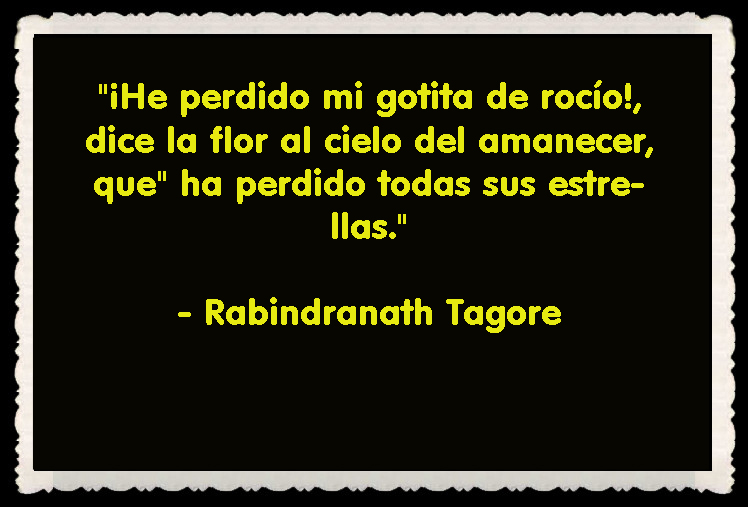 Rabindranath Tagore FRASES BONITAS CITAS Y PENSAMIENTOS      (22)